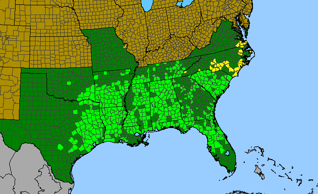 The range of Chasmanthium sessiliflorum
